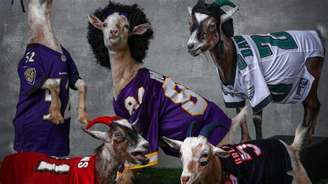 all the goats in football